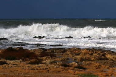 İsrail 'in kuzeyindeki Akdeniz' in kayalık kıyıları. 