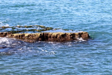 İsrail 'in kuzeyindeki Akdeniz' in kayalık kıyıları. 