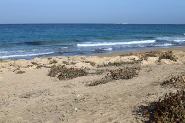 İsrail 'in kuzeyindeki Akdeniz' in kayalık kıyıları. 