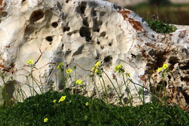 Kuzey İsrail 'deki dağlarda dağ kayaları ve büyük taşlar. 