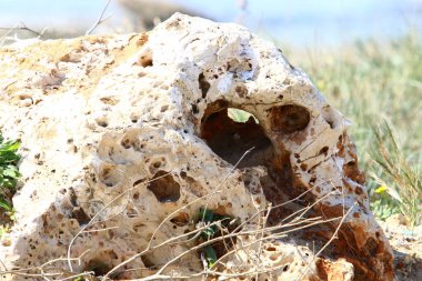 Kuzey İsrail 'deki dağlarda dağ kayaları ve büyük taşlar. 