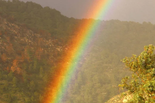 double rainbow in the mountains above the forest after rain in northern Israel