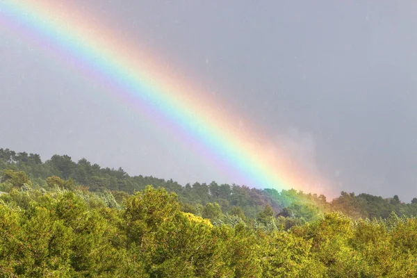 double rainbow in the mountains above the forest after rain in northern Israel