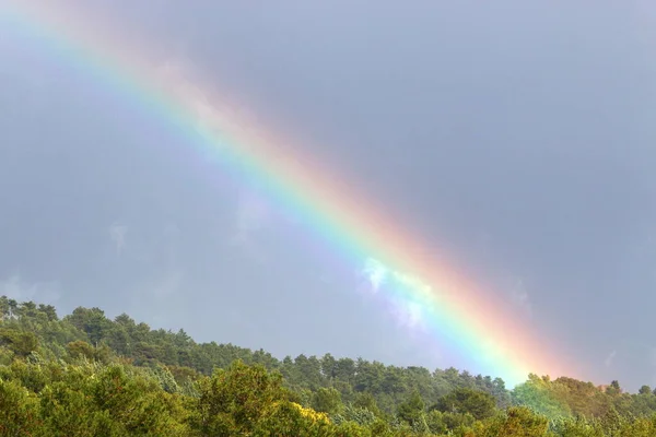 double rainbow in the mountains above the forest after rain in northern Israel