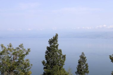 Kuzey İsrail 'deki Celile dağlarındaki Kinneret Gölü. Gölün kenarında ilkbahar bitkileri ve çiçekler. 