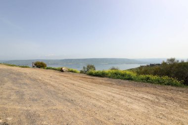 Kuzey İsrail 'deki Celile dağlarındaki Kinneret Gölü. Gölün kenarında ilkbahar bitkileri ve çiçekler. 