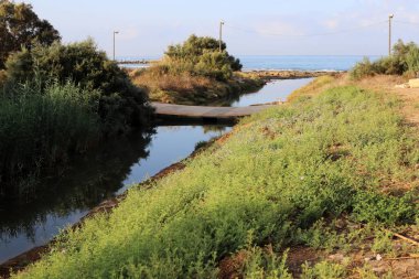 İsrail 'de bir köprünün parçaları. 