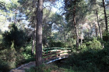 İsrail 'de bir köprünün parçaları. 