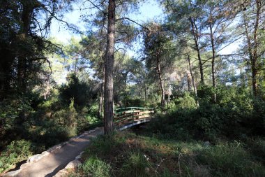 İsrail 'de bir köprünün parçaları. 