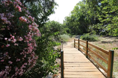 İsrail 'de bir köprünün parçaları. 