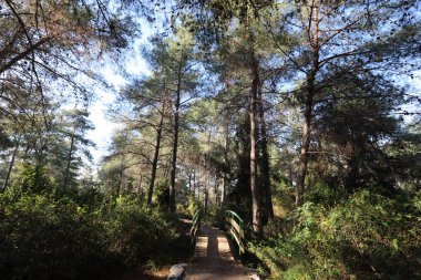 İsrail 'de bir köprünün parçaları. 