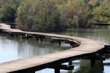 İsrail 'de bir köprünün parçaları. 