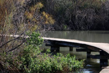 İsrail 'de bir köprünün parçaları. 