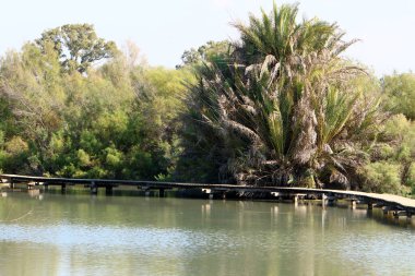 İsrail 'de bir köprünün parçaları. 