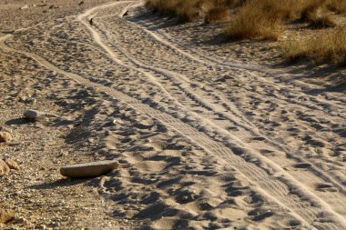 İsrail 'in kuzeyinde Akdeniz' de kumlu bir sahilde ayak izleri. 