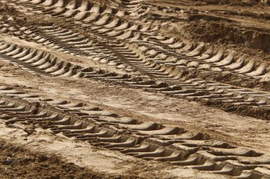 İsrail 'in kuzeyinde Akdeniz' de kumlu bir sahilde ayak izleri. 