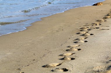 İsrail 'in kuzeyinde Akdeniz' de kumlu bir sahilde ayak izleri. 