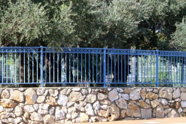 Yüksek çit boyunca yeşil bitkiler ve çiçekler büyür. Şehir parkında bakımlı çitler.. 