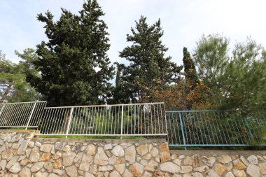 Yüksek çit boyunca yeşil bitkiler ve çiçekler büyür. Şehir parkında bakımlı çitler.. 