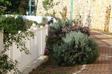 Yüksek çit boyunca yeşil bitkiler ve çiçekler büyür. Şehir parkında bakımlı çitler.. 