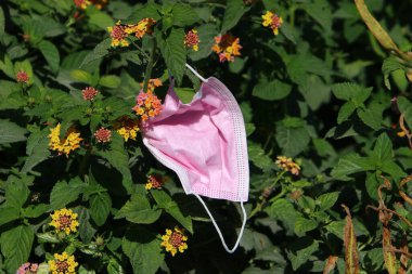 Corona virüsüne karşı korunmak için kullanılan tek kullanımlık tıbbi maske. Maske çöpe atıldı. WHO 'nun Coronavirus Kavramı: COVID-19. 