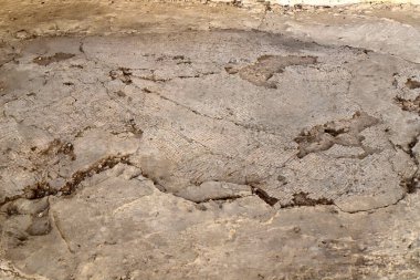 M.Ö. 6. yüzyılın ortalarında İsrail 'in kuzeyinde bir kilisenin kalıntıları üzerine antik dini mozaiklerin parçaları. 
