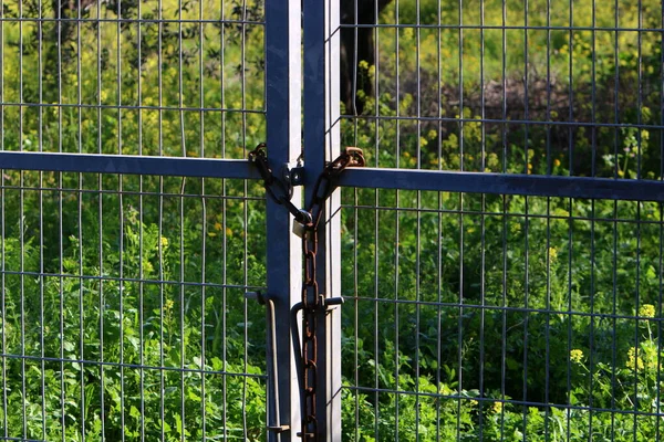 フェンスに吊るされた鎖の上の古い鍵 — ストック写真