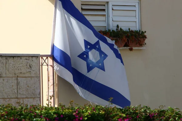 在以色列独立日 以色列的白色和蓝色旗帜与大卫之星装饰着城市街道 以色列的独立日是以色列的主要公众假期 — 图库照片