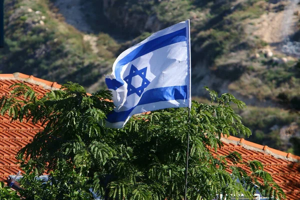 Les Drapeaux Blancs Bleus Israël Avec Étoile David Ornent Les — Photo