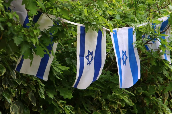 Les Drapeaux Blancs Bleus Israël Avec Étoile David Ornent Les — Photo