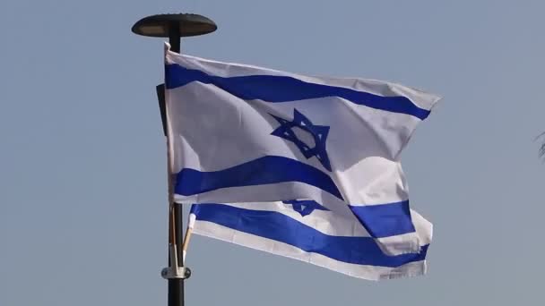 Les Drapeaux Blancs Bleus Israël Avec Étoile David Ornent Les — Video