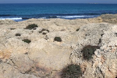 Akdeniz kıyısındaki yüksek kayalıklar. Kaya sahili.. 