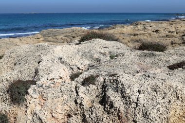 Akdeniz kıyısındaki yüksek kayalıklar. Kaya sahili.. 