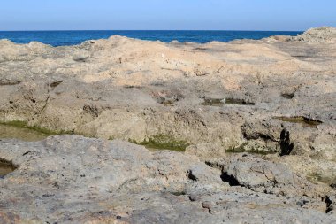 Akdeniz kıyısındaki yüksek kayalıklar. Kaya sahili.. 