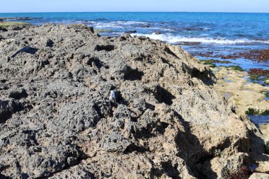 Akdeniz kıyısındaki yüksek kayalıklar. Kaya sahili.. 