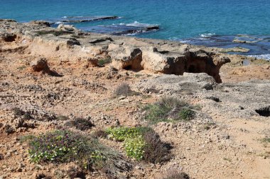 Akdeniz kıyısındaki yüksek kayalıklar. Kaya sahili.. 