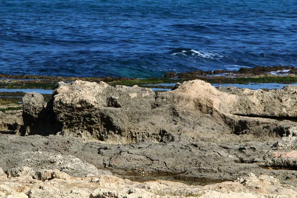 High Cliffs Shores Mediterranean Sea Rocky Seashore — Stock Photo, Image