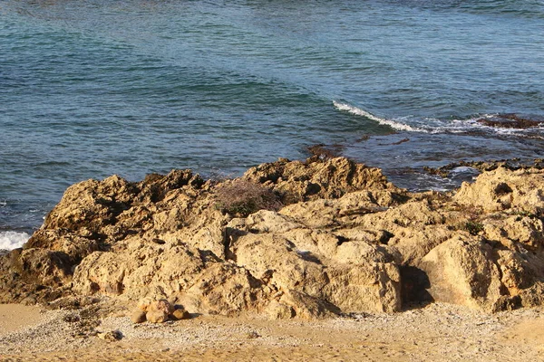 Höga Klippor Vid Medelhavets Stränder Klippig Havsstrand — Stockfoto