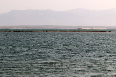 İsrail 'in güneyindeki Ölü Deniz' in tuzlu kıyıları. Ölü deniz dokusu. Deniz parkı. 