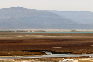 İsrail 'in güneyindeki Ölü Deniz' in tuzlu kıyıları. Ölü deniz dokusu. Deniz parkı. 