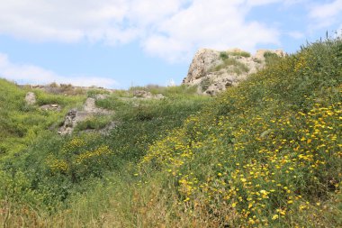 İsrail 'in kuzeyindeki Ürdün Vadisi' ndeki Beit She 'an antik kentinin kalıntıları. Antik çağlarda, şehir güçlü bir deprem tarafından tahrip edildi., 