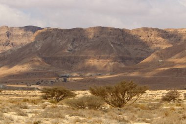 İsrail 'in güneyindeki Judean Çölü' ndeki dağ yamaçlarının ve manzaraların dokusu. Çölde güneşli sıcak bir gün. 