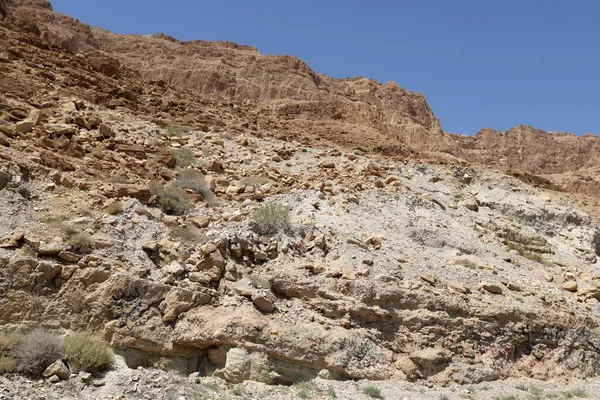 Tekstura Zboczy Górskich Krajobrazów Pustyni Judejskiej Południowym Izraelu Gorący Słoneczny — Zdjęcie stockowe