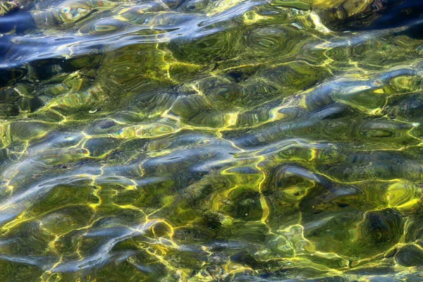 Algas Verdes Sobre Pedras Mar Mediterrâneo Norte Israel — Fotografia de Stock