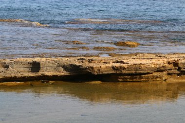 İsrail 'in kuzeyindeki Akdeniz kıyısında. Yaz ve sıcak güneşli bir gün 