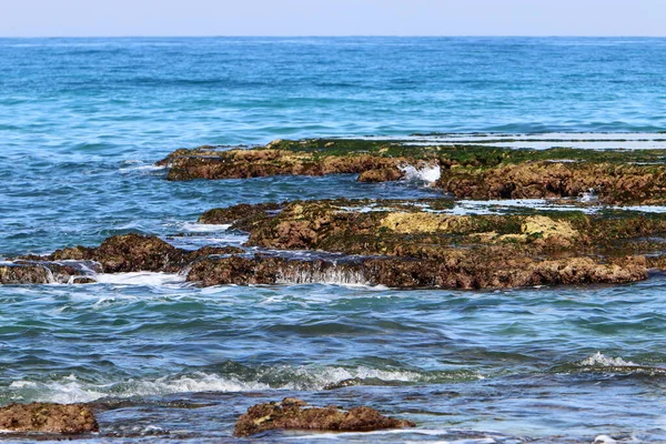 Medelhavets Kust Norra Israel Sommar Och Varm Solig Dag — Stockfoto