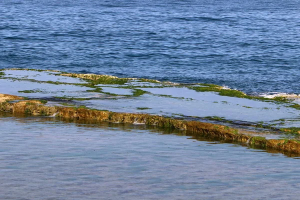 Costa Mar Mediterrâneo Norte Israel Verão Quente Dia Ensolarado — Fotografia de Stock