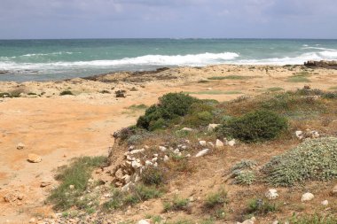 İsrail 'in kuzeyindeki Akdeniz kıyısında. Yaz ve sıcak güneşli bir gün 