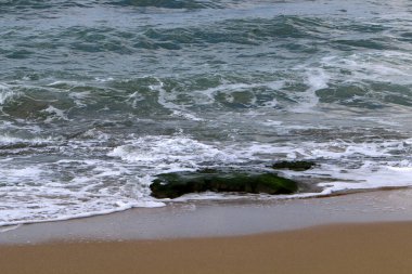 İsrail 'de Akdeniz kıyısındaki kumsal. Kuzey İsrail 'de sıcak yaz günü 