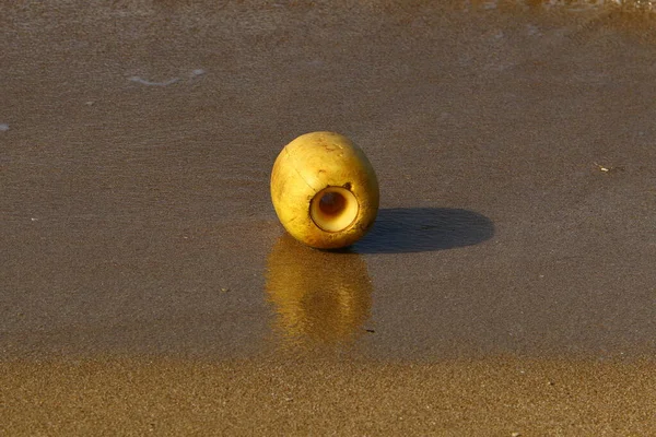 Spiaggia Sabbia Sulle Rive Del Mar Mediterraneo Israele Calda Giornata — Foto Stock